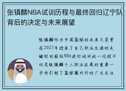 张镇麟NBA试训历程与最终回归辽宁队背后的决定与未来展望