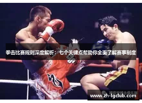 拳击比赛规则深度解析：七个关键点帮助你全面了解赛事制度