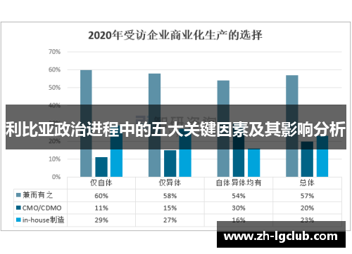 利比亚政治进程中的五大关键因素及其影响分析