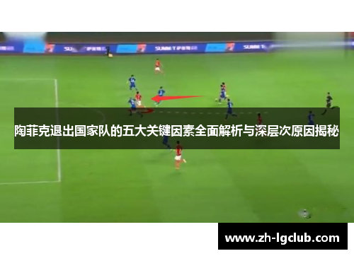 陶菲克退出国家队的五大关键因素全面解析与深层次原因揭秘