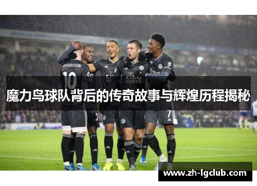 魔力鸟球队背后的传奇故事与辉煌历程揭秘