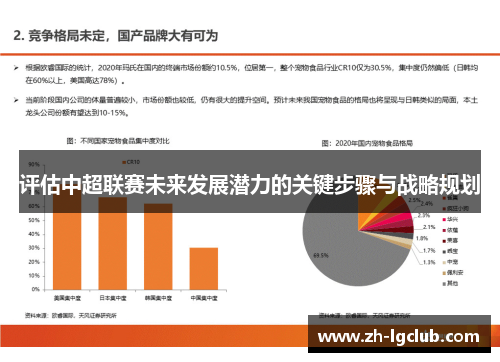 评估中超联赛未来发展潜力的关键步骤与战略规划